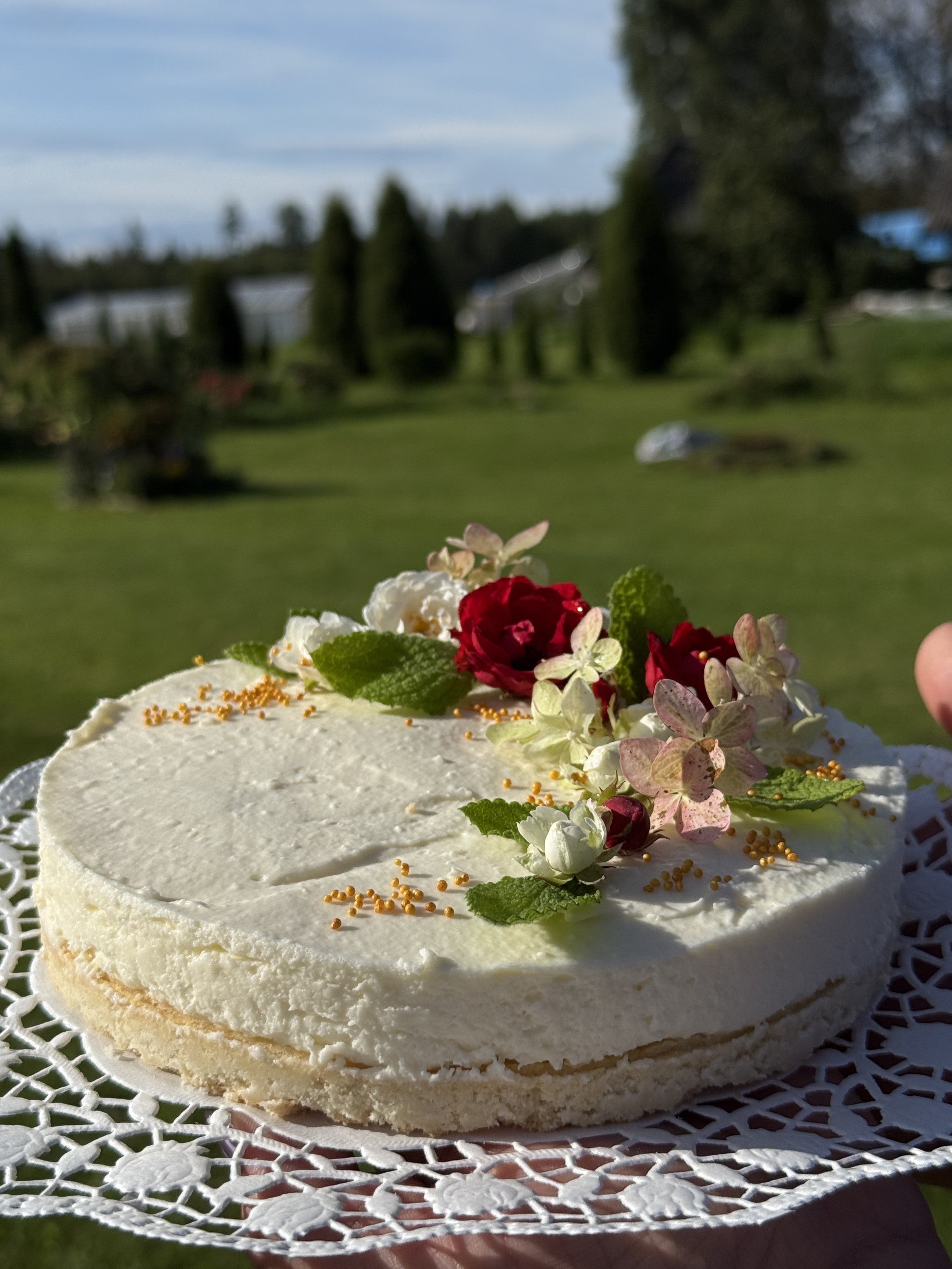 Filadelfijas siera kūka